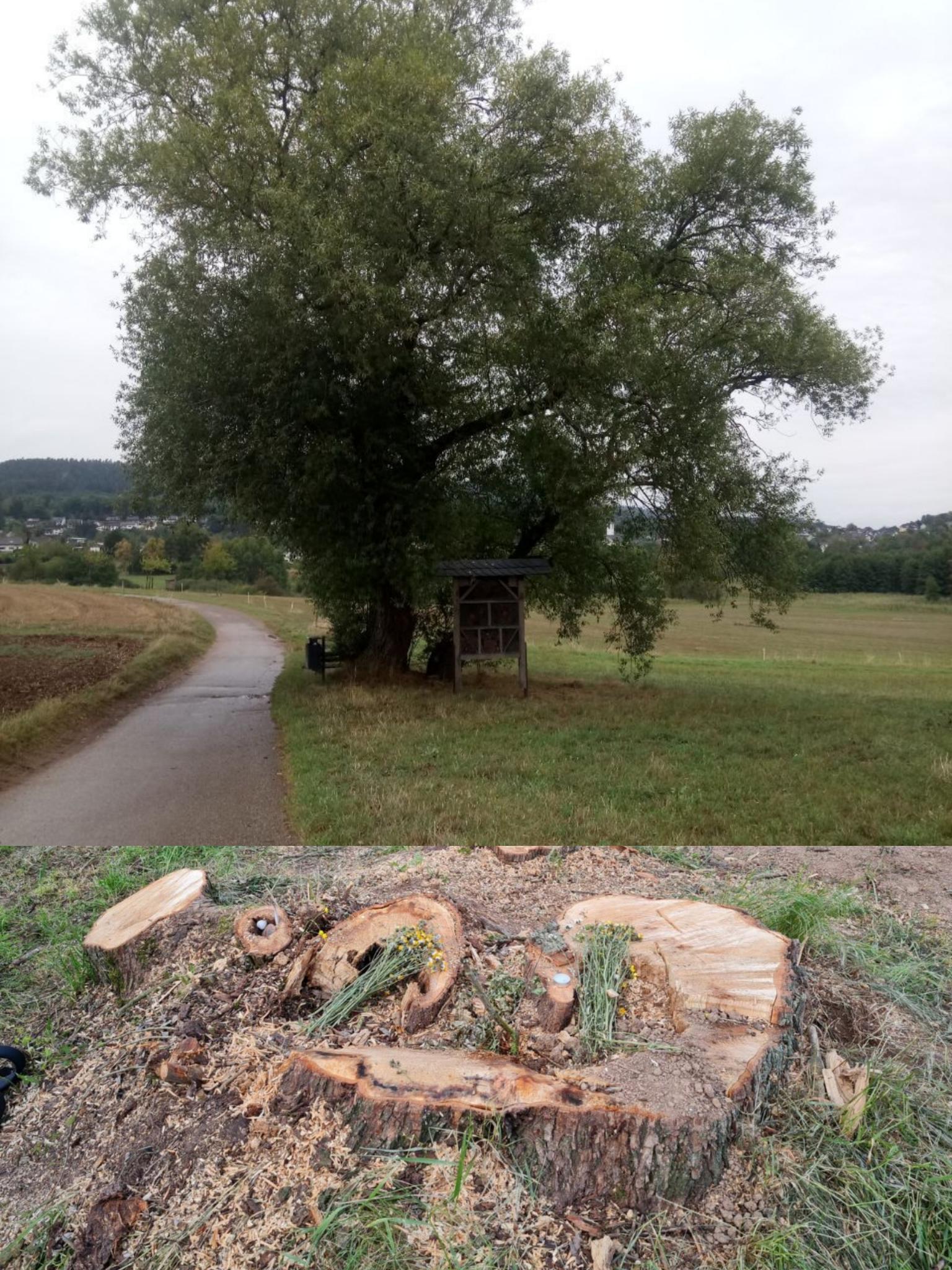 Foto von Maria Roth.