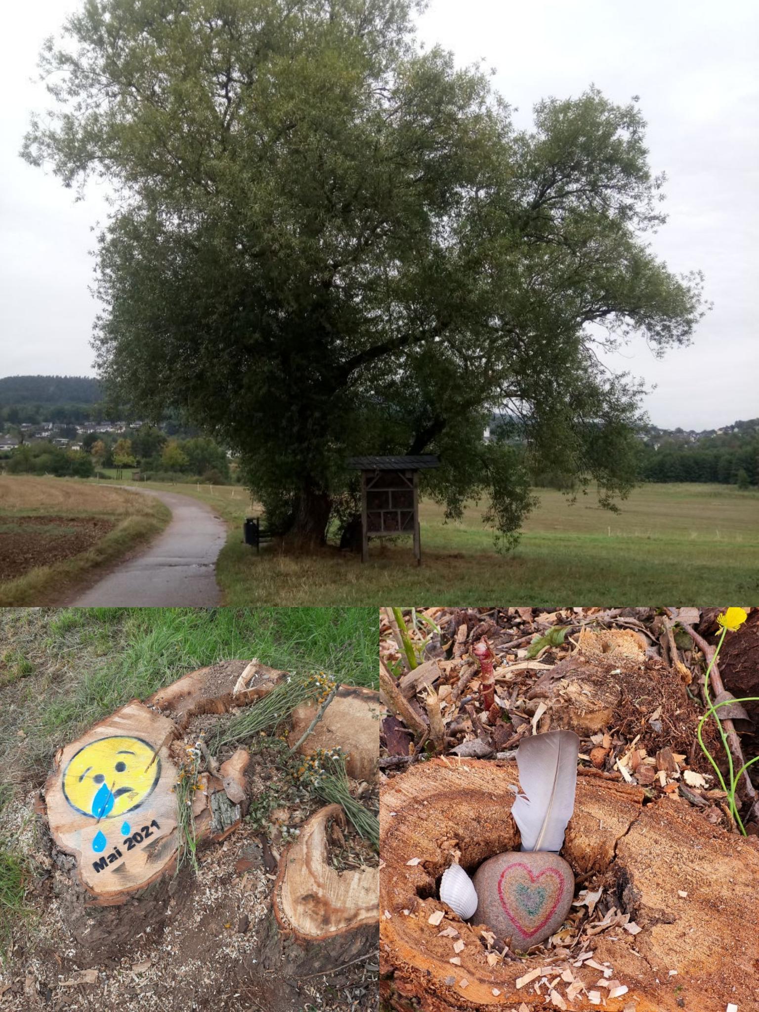 Foto von Maria Roth.